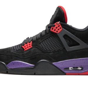 Air Jordan 4 Retro NRG “Raptors”