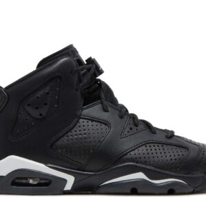 Air Jordan 6 Retro GS Black Cat Classic Kicks