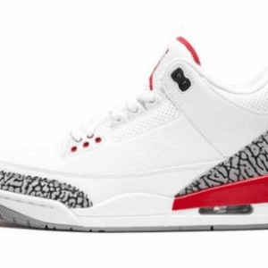 Jordan 3 Retro Hall of Fame