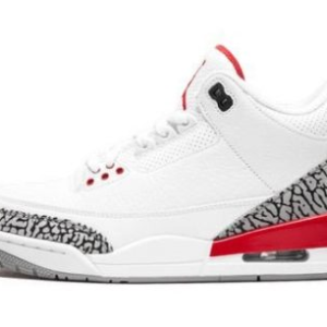 Jordan 3 Retro Hall of Fame