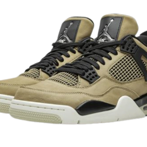 Jordan 4 Mushroom
