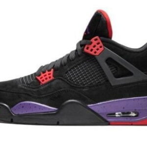 Jordan 4 Retro Raptors