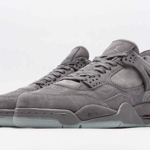 Jordan 4 x KAWs Grey